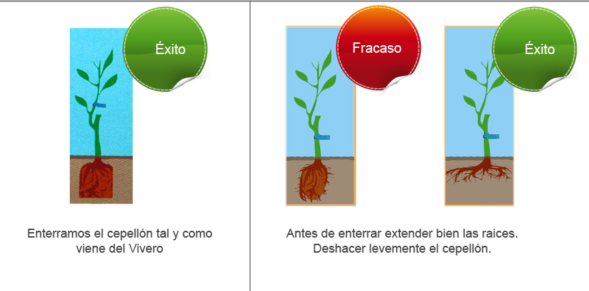 Recomendaciones Tecnicas