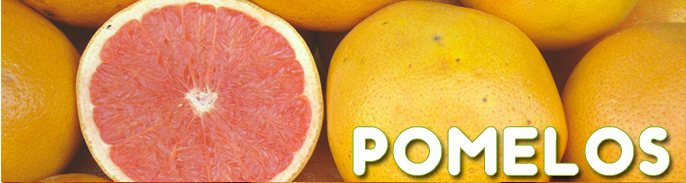 Envasado Naranjas